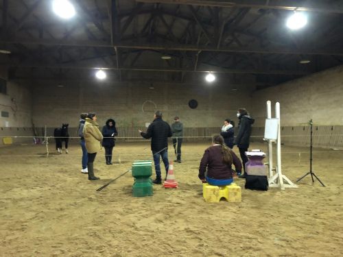 Séance d'équicoaching en groupe