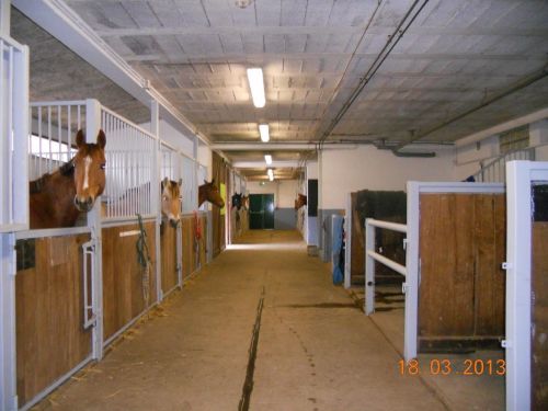 Venez me retrouver pour vos séances d'équicoaching au centre équestre d'Egletons !