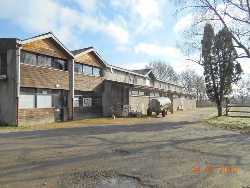 Venez me retrouver pour vos séances d'équicoaching au centre équestre d'Egletons !