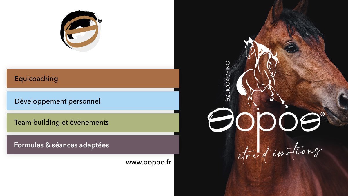Oopoo Equicoaching